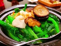 咸肉春菜煲-日日鲜茶餐厅(小公园店)