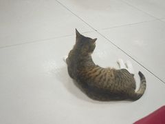 -李旺拉面烧烤