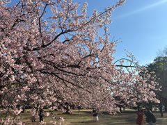 -井之头恩赐公园