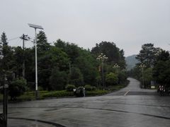 -九龙江国家森林公园