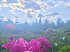 -长春公园(普阳街道)