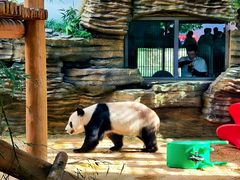 -西霞口神雕山野生动物世界