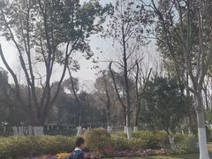 -汤山公园