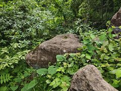 -凤栖山