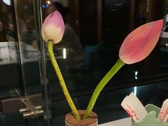 -松鹤楼·非遗·苏帮菜(融科店)