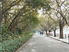 -大湾区中央湿地公园