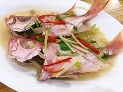 -长平肥姐白粥·海鲜打冷