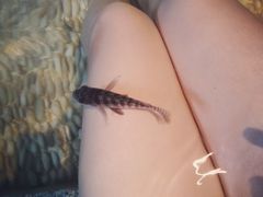 -明谷行馆·温泉