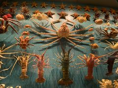 -贝林大翅鲸简餐厅(国家海洋博物馆店)