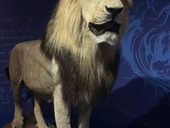 -国家自然博物馆