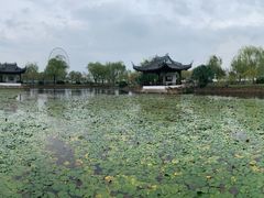 -无锡蠡湖国家湿地公园-蠡园
