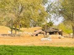 -北京野生动物园