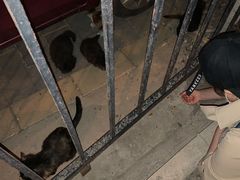 -熙春园餐厅