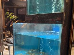-聚鑫阁江浙菜·非遗传承技艺(青村帝华园店)