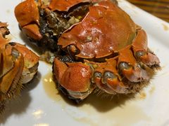 -呼吸森林·生态农庄农家乐私房菜