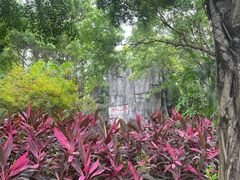 -深圳国际园林花卉博览园