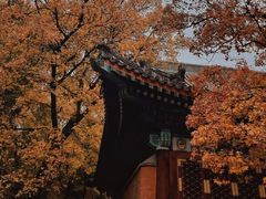 -香山公园