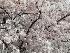 -唐城墙遗址公园