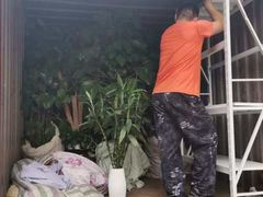 -上海蓝犀牛邦速搬家公司搬家