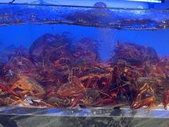 -章吴记喜瑞餐厅(东东城店)