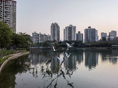 -四海公园(南山区)
