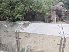 -南昌动物园