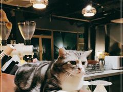 -咖法森林·咖啡  酒吧(天河店)