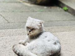-老屋咖啡