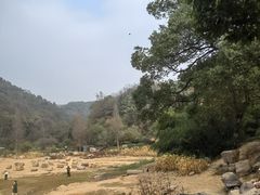 -桃花岭景区