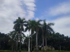 -舒友海鲜姿造(白鹭洲店)