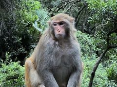 -黔灵山公园