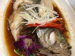 -红高粱大酒店(宁山东路店)