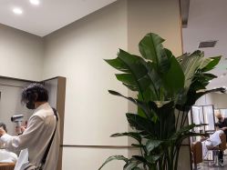 -崇尚GAVIN STYLE臻选