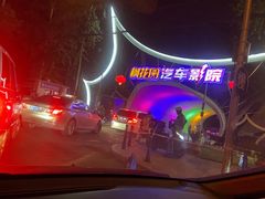 -枫花园汽车电影院(朝阳公园店)