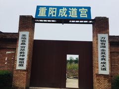 -活死人墓