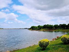 -丁香湖公园