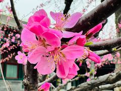 -恭王府博物馆
