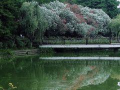 -黄兴公园