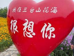 -江苏三台山国家森林公园