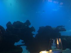 -海棠湾洲际-涛·海底餐厅·美人鱼·自助餐·海底隧道