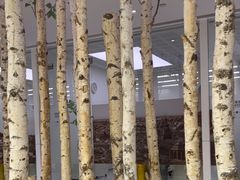-极简口腔(总院)