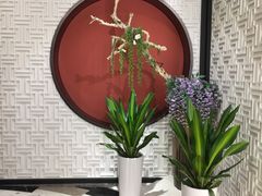 -圆苑(金茂店)