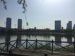 -尚贤河湿地