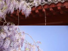 -洛阳市隋唐城遗址植物园