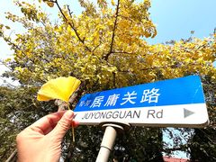 -八大关景区