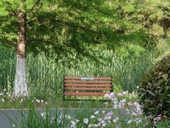 -昆山城市生态森林公园