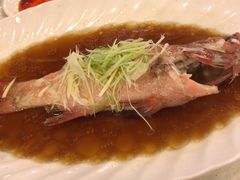 -顶好海鲜酒家