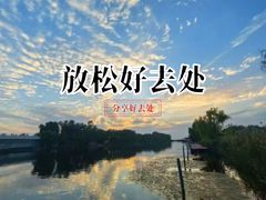 -白洋淀景区