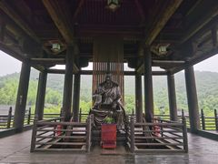 -大唐贡茶院