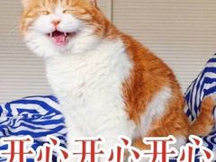 -小王少龙火锅(沙南街店)